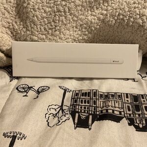 Apple Pencil Box. (JUST THE BOX, NO ACTUAL PENCIL)